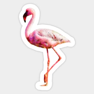 Gorgeous Pink Flamingo Digital Artwork Sticker